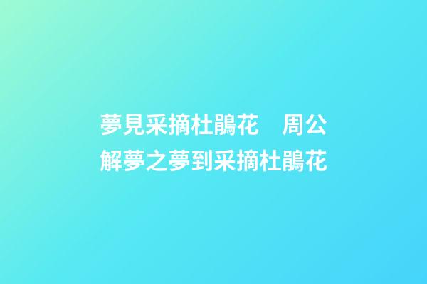 夢見采摘杜鵑花　周公解夢之夢到采摘杜鵑花